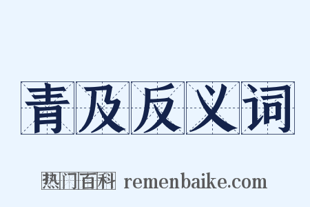 青及反义词是什么意思的图片